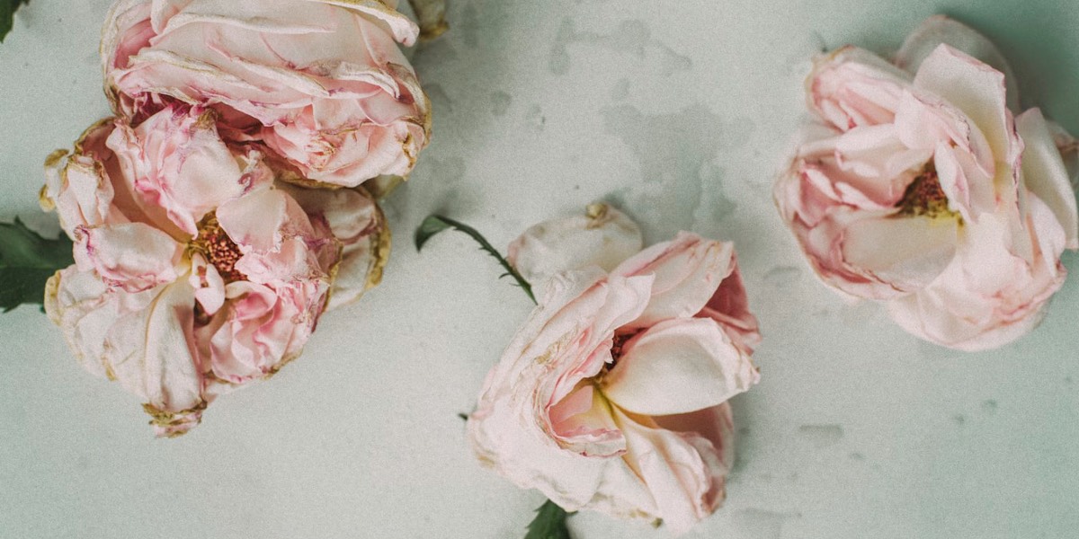 facebook_account_erben Symbolbild: verwelkte rosa Rosen