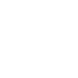 Regenschirm