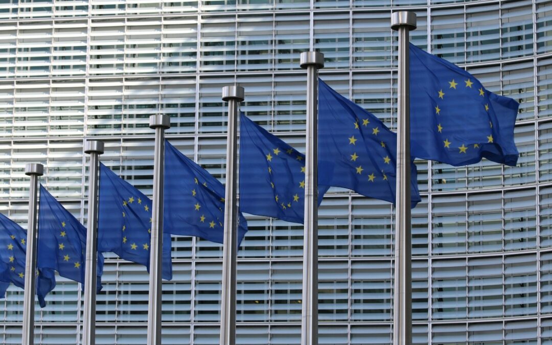 Die KI-Verordnung – Welche Pflichten kommen auf Unternehmen zu?